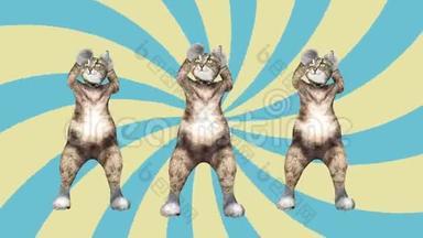概念酷和有趣的宠物猫舞<strong>江南风</strong>格移动到节拍动画